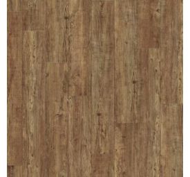 Moduleo Transform Wood Latin Pine 